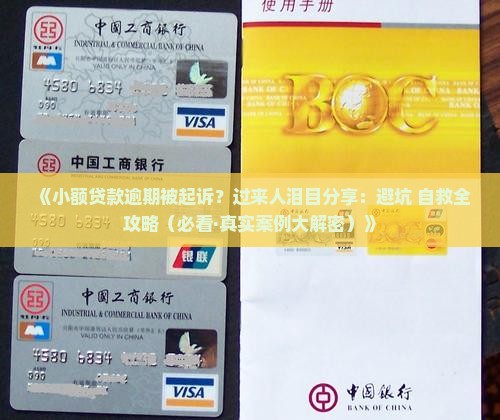 小额贷款逾期起诉案例分析