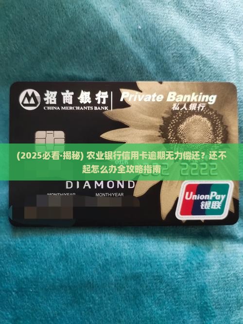农业银行信用卡无力偿还是什么情况