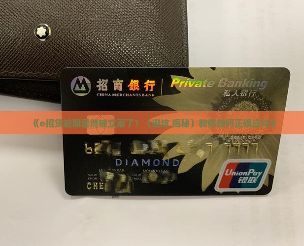 e招贷逾期已立案