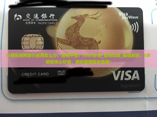 分期乐新网银行逾期怎么办