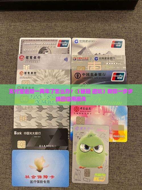支付宝逾期一两年了怎么办