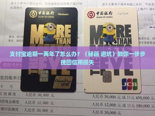 支付宝逾期一两年了怎么办