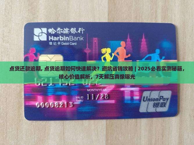 点贷还款逾期