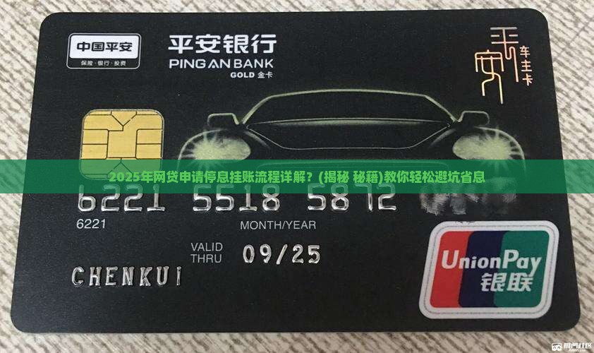 自己网贷申请停息挂账流程详解