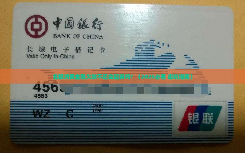 北银消费金融欠款不还会起诉吗