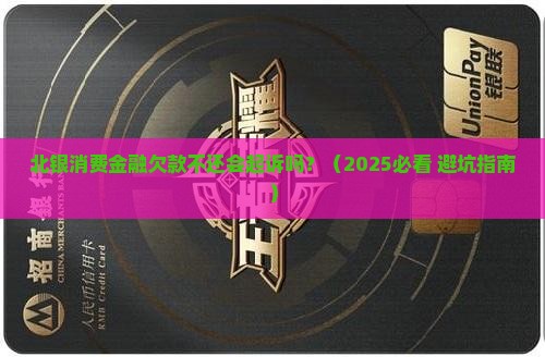 北银消费金融欠款不还会起诉吗