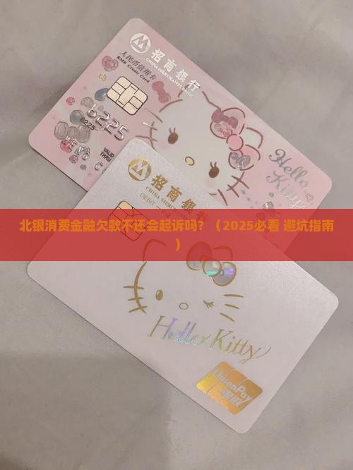 北银消费金融欠款不还会起诉吗