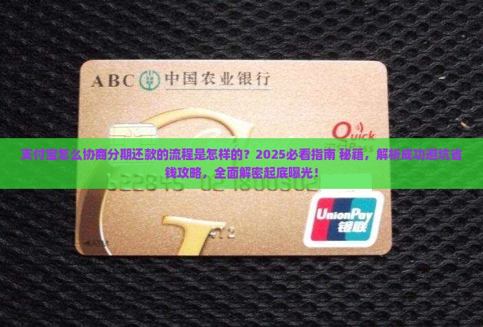 支付宝怎么协商分期还款的流程是怎样的