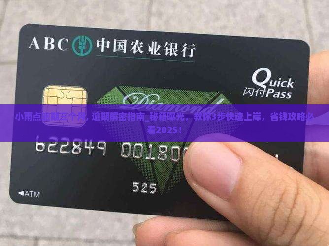 小雨点逾期三个月