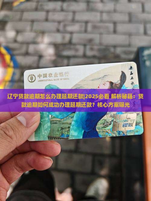 辽宁贷款逾期怎么办理延期还款
