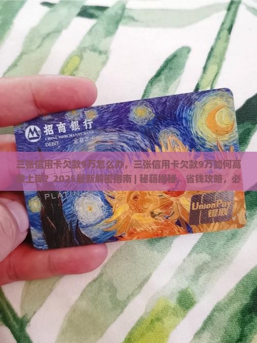 三张信用卡欠款9万怎么办