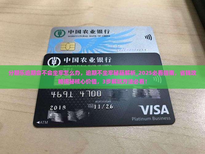 分期乐逾期会不会坐牢怎么办