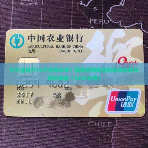 欠兴业银行10万逾期半年