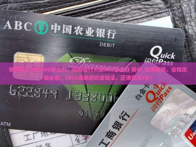 新网银行欠款300怎么办