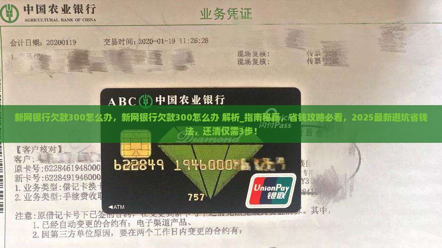 新网银行欠款300怎么办