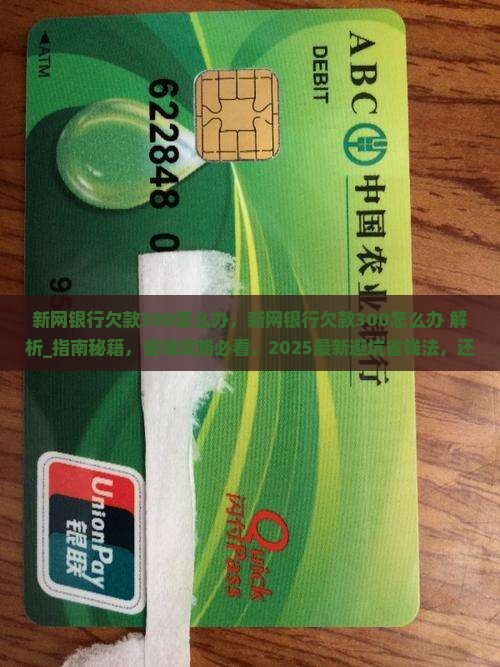 新网银行欠款300怎么办