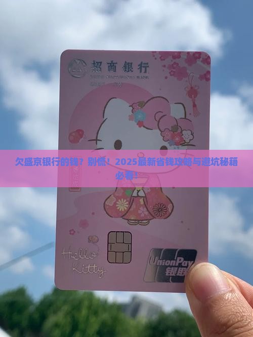 欠盛京银行如何处理