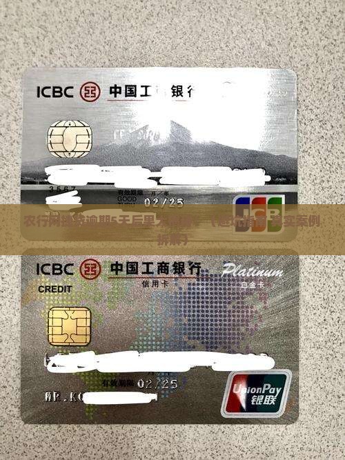 农行网捷贷逾期5天后果