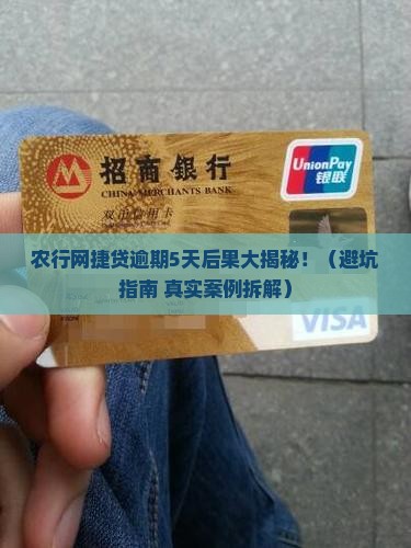 农行网捷贷逾期5天后果