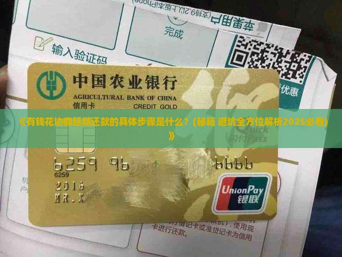 有钱花协商延期还款的具体步骤是什么