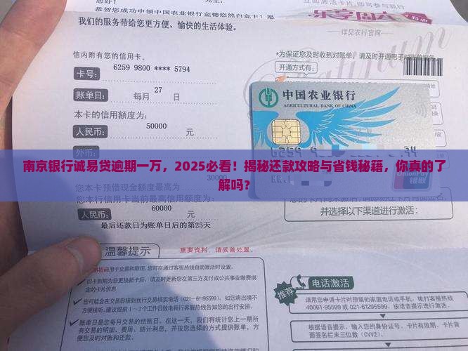 南京银行诚易贷逾期一万