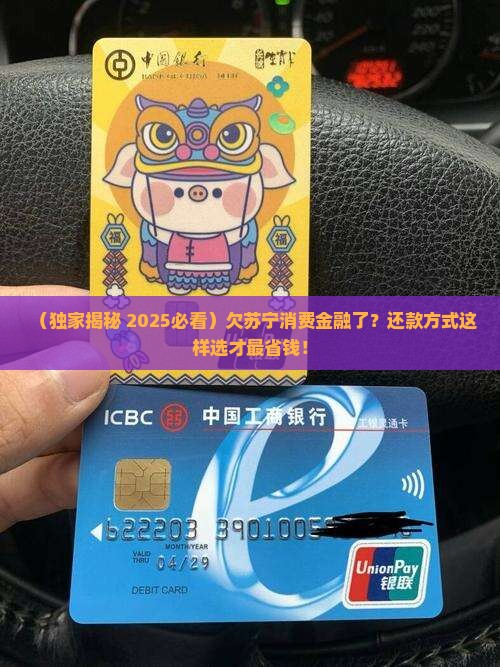 欠苏宁消费金融怎么还款方式选择