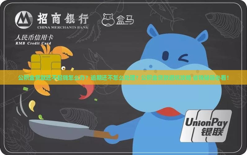 公积金贷款还不起钱