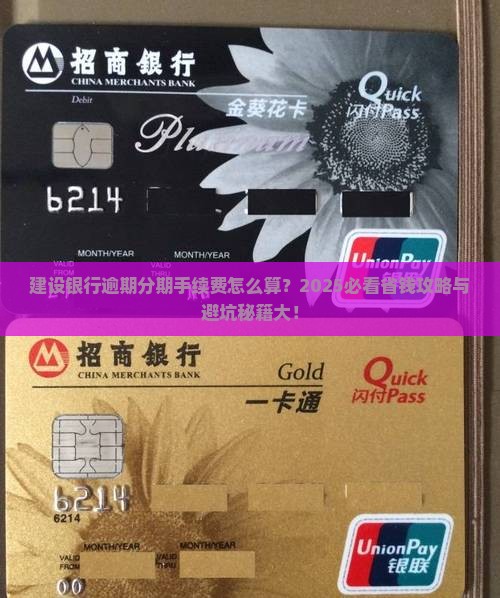 建设银行逾期协商分期手续费如何收取