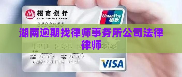 逾期找哪家湖南法务公司