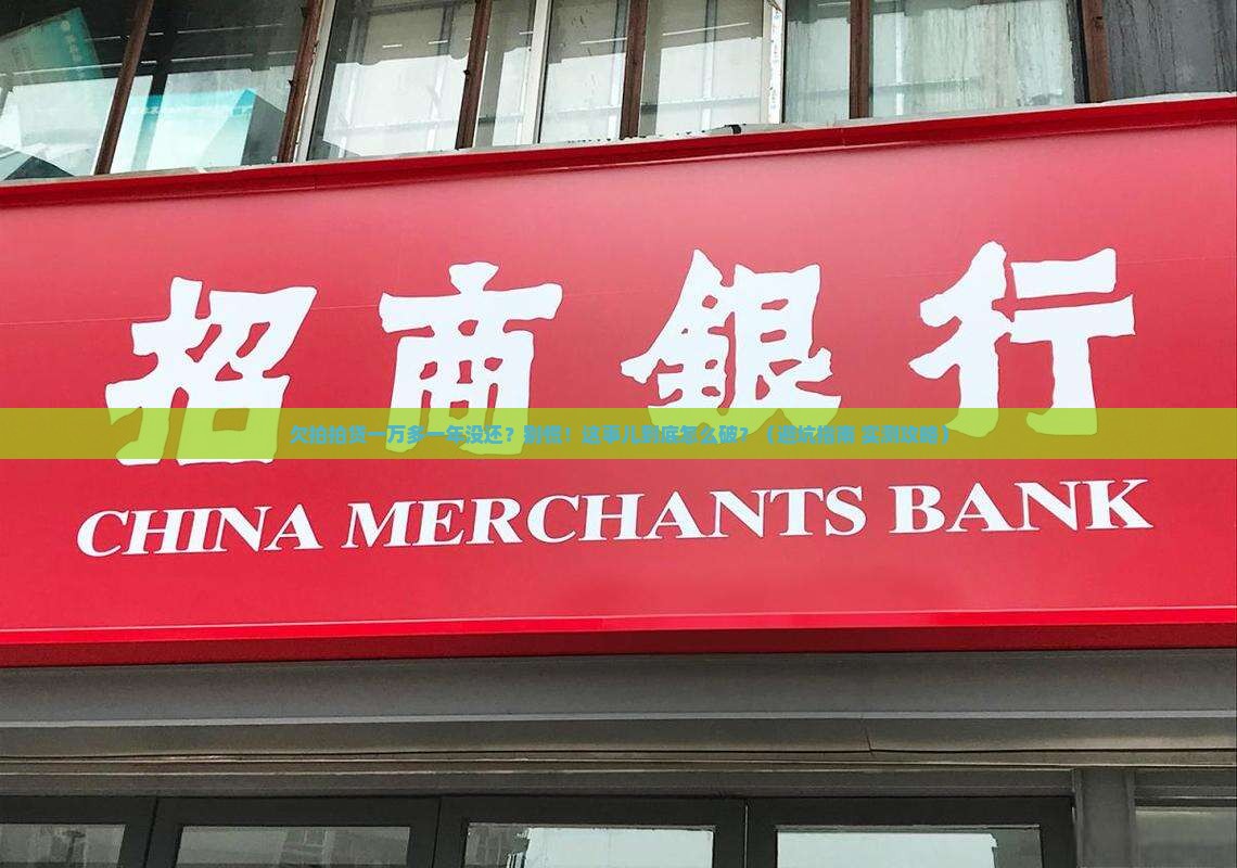 欠拍拍贷一万多一年没还怎么办
