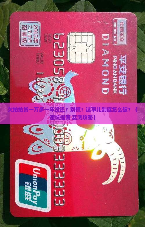欠拍拍贷一万多一年没还怎么办