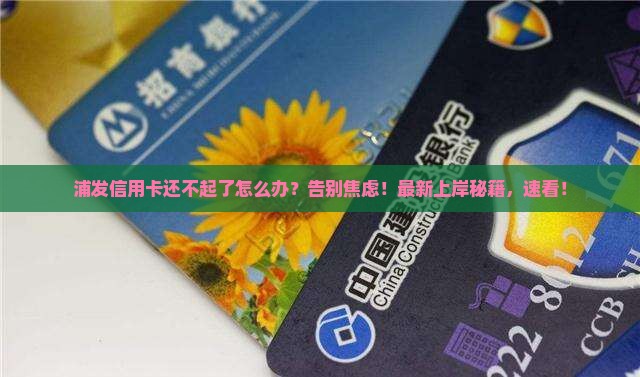 浦发信用卡还不起了怎么办
