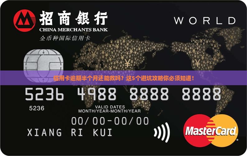 信用卡逾期半个月应该怎么处理