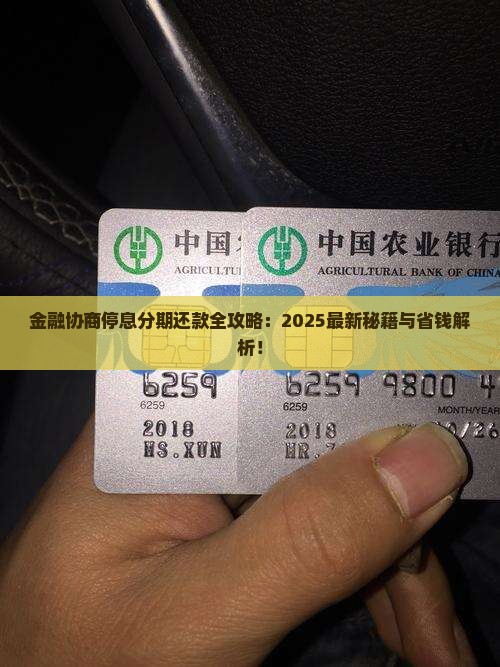 网贷金融怎么协商停息分期还款具体步骤是什么