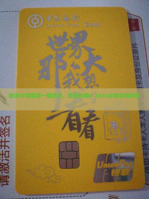 新浪分期最后一期协商还款