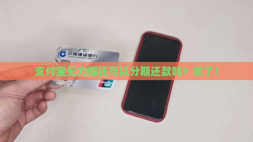 支付宝无力偿还可以分期还款吗