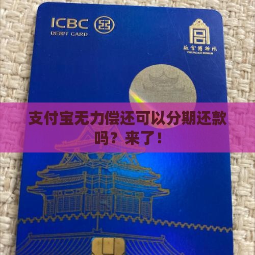 支付宝无力偿还可以分期还款吗