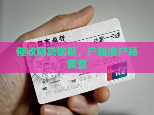 网贷逾期到户籍地