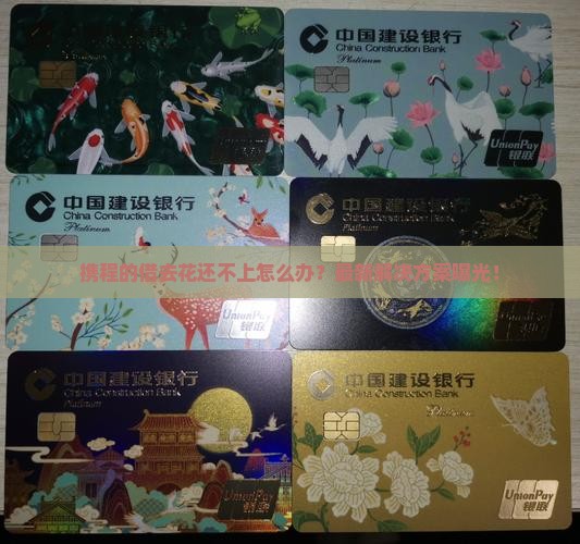 携程的借去花还不上