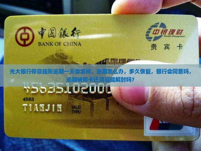 光大银行停息挂账逾期