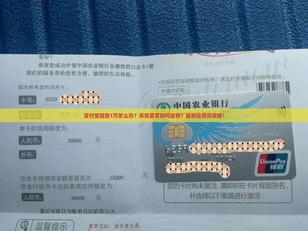 支付宝借款1万怎么办