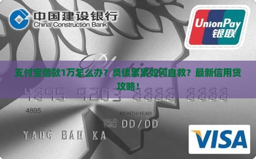 支付宝借款1万怎么办