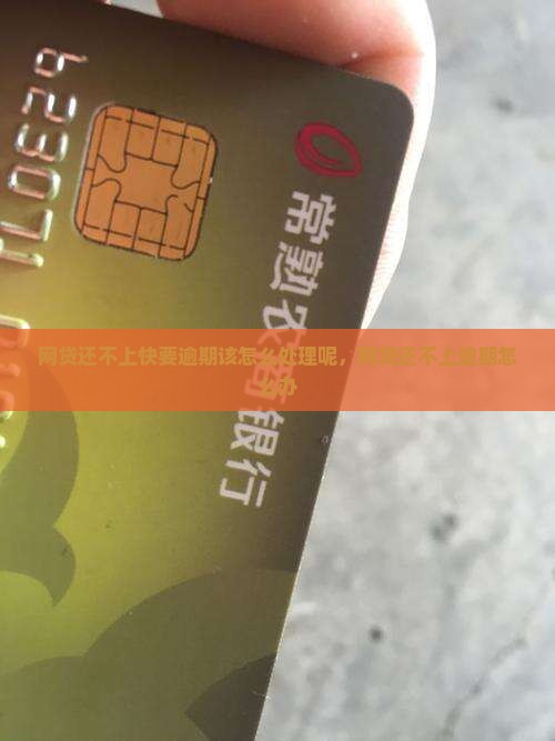 网贷还不上快要逾期该怎么处理