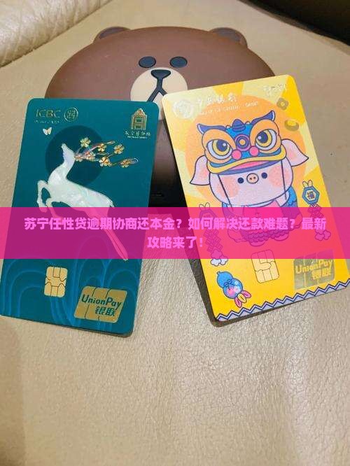 苏宁任性贷逾期协商还本金如何操作