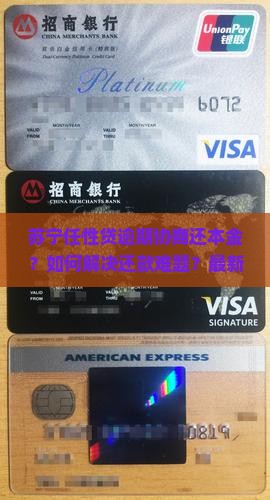 苏宁任性贷逾期协商还本金如何操作