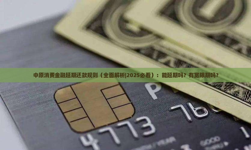 中原消费金融延期还款规则