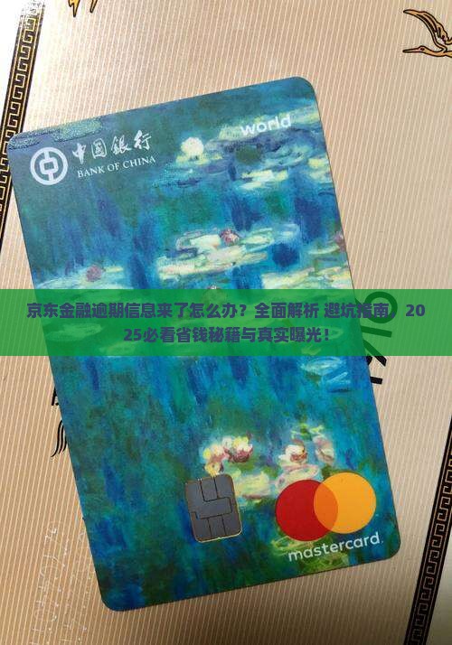 京东金融逾期发的信息如何处理