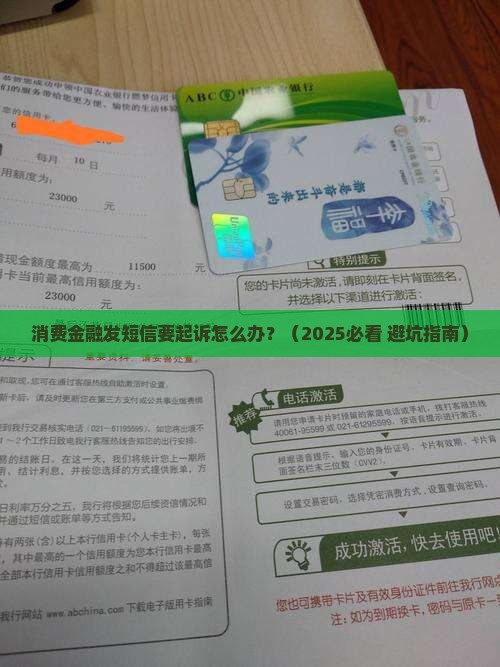 消费金融发短信要起诉如何操作