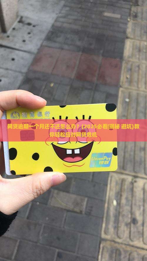 网贷逾期一个月还不还怎么办