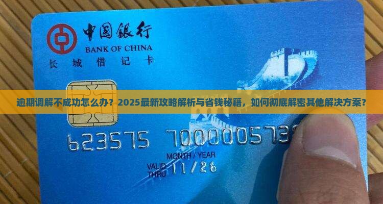 逾期调解不成功怎么办理还有其他解决办法吗